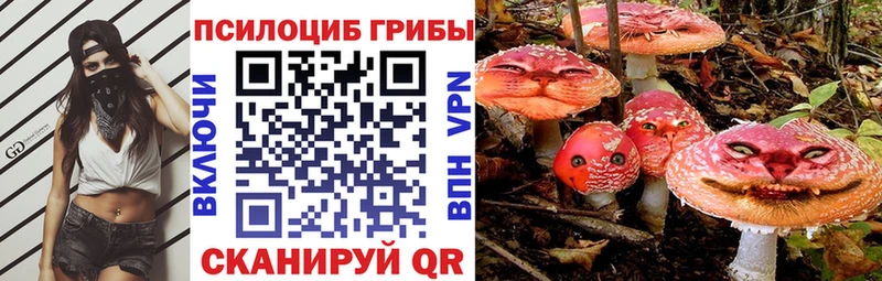 Псилоцибиновые грибы Magic Shrooms  Купить где  Скопин 