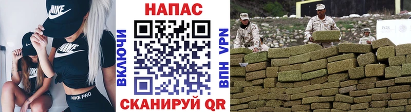 Конопля планчик Скопин